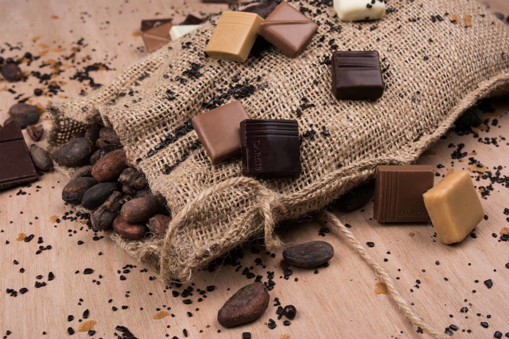 Fèves de cacao et morceaux de chocolat